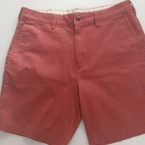 American Eagle Outfitters Men's Brick Red Shorts